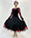 No.5036P_840P:black×red4