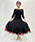 No.5173_840P:black×red5